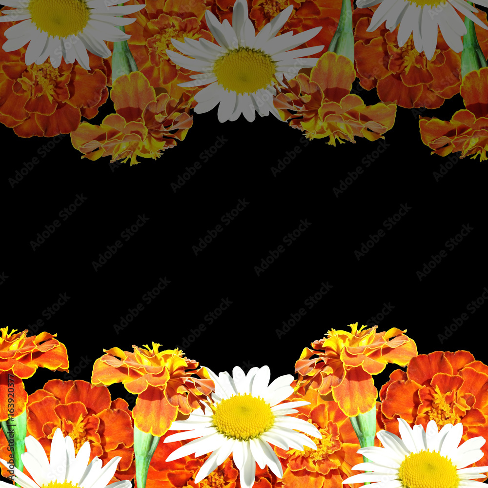 Beautiful floral background with daisies and marigolds 