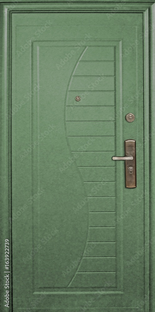 Fototapeta premium Entrance door (metal door)