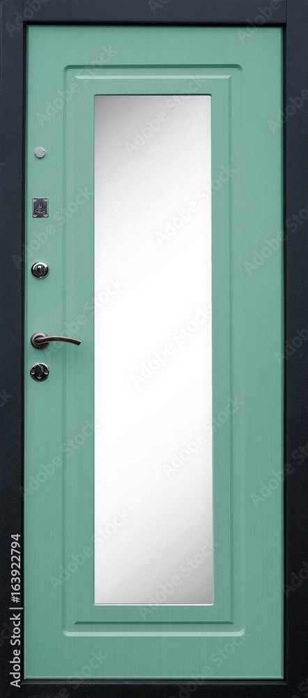 Entrance door (metal door) Entrance door (metal door)