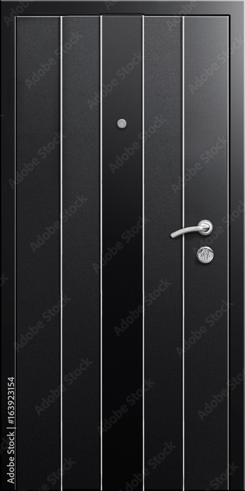Obraz premium Entrance door (metal door)