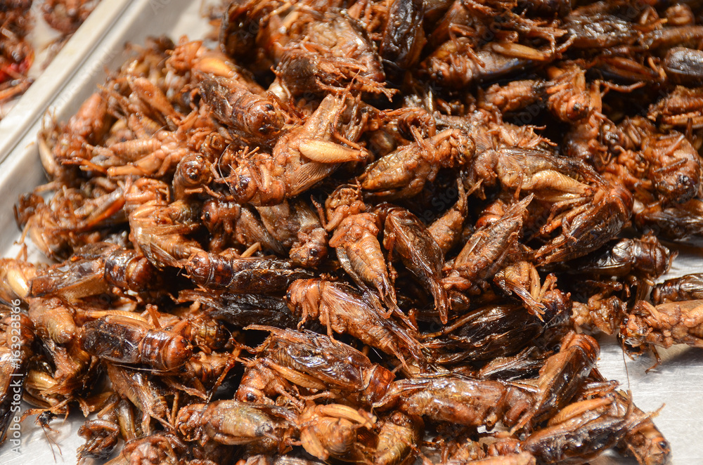 Fried Insect street food of Thailand