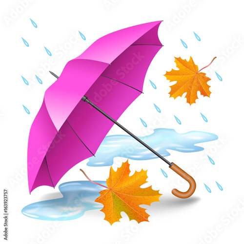 Pink or purple realistic umbrella with falling orange leaves, raindrops and puddles isolated on white background. Rainy autumn day. Vector illustration.