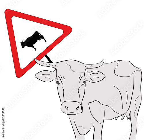 Cow on the background of the sign "carefully pets cross the road." vector illustration.