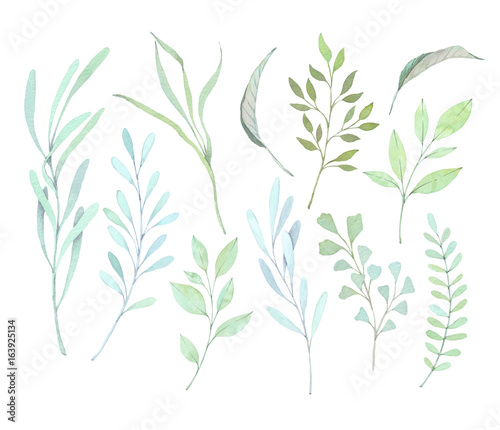 Hand drawn watercolor illustrations. Botanical clipart. Set of Green leaves  herbs and branches. Floral Design elements. Perfect for wedding invitations  greeting cards  blogs  posters  prints etc