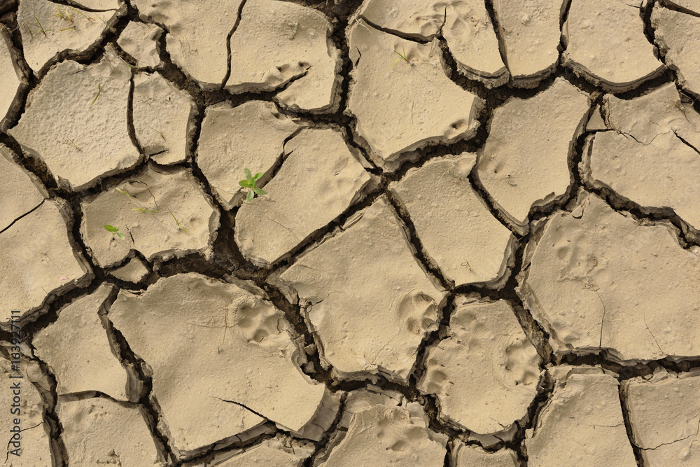 Cracked drought muddy soil. Concept of ecological catastrophe and global warming
