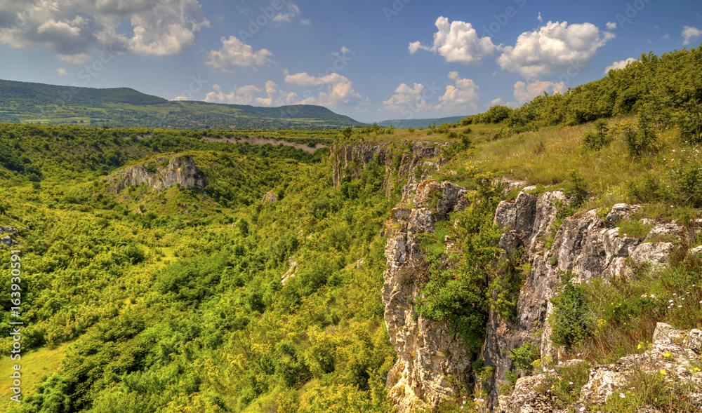 Obraz premium Beautiful summer landscape