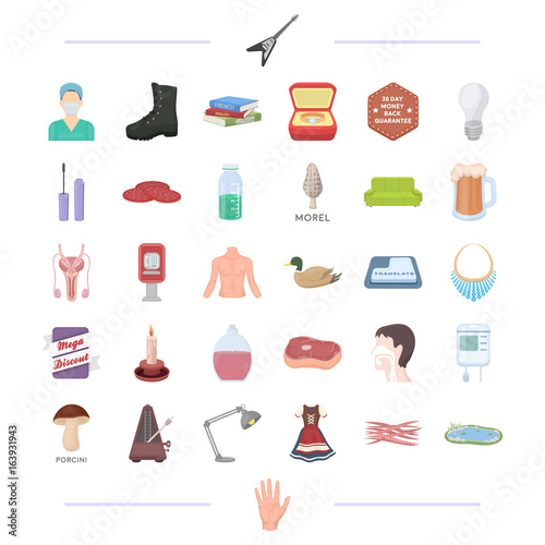 man, tool, medicine and other web icon in cartoon style. decoration, food, lighting icons in set collection.