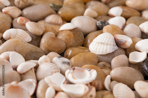 Sea pebbles background, natural seashore stones