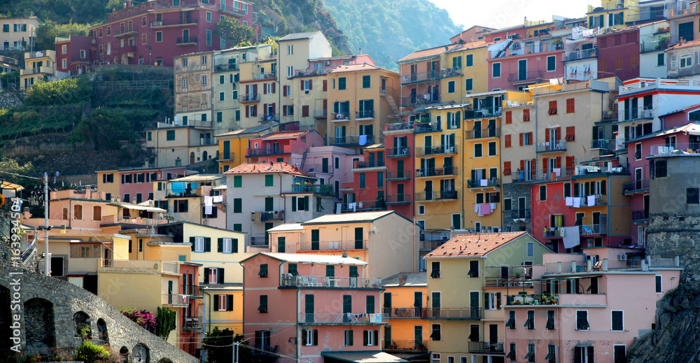 Colorful homes along the hillside of Manarola in the Cinque Terre Italy