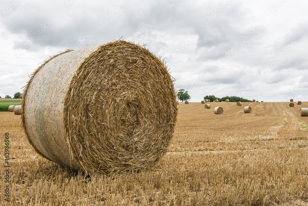 Heu und Strohhalme auf dem Ackerfeld 