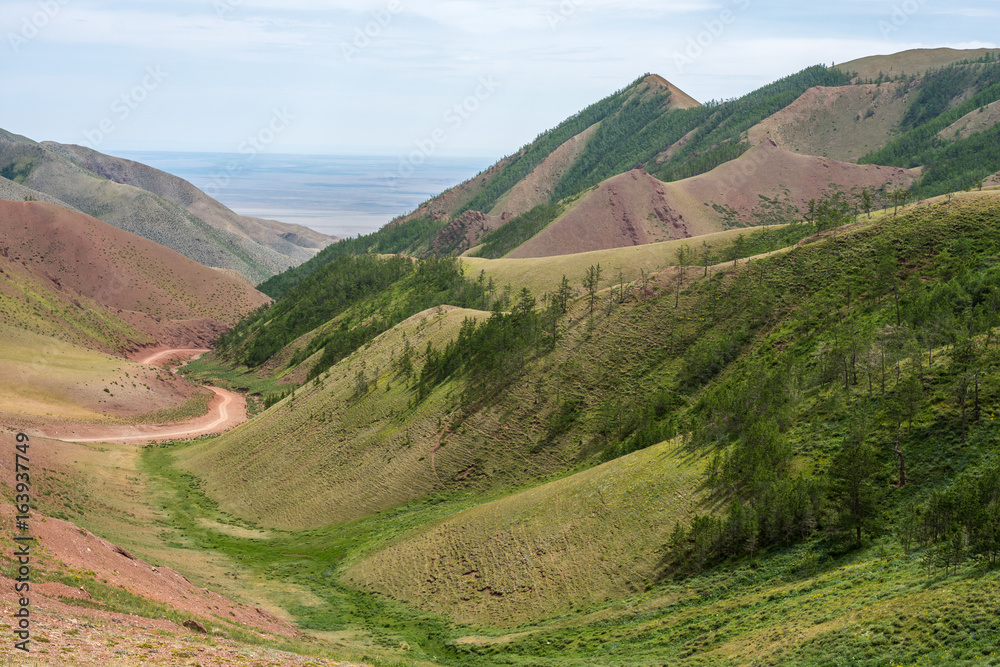 panoramic view of road between of green hills
