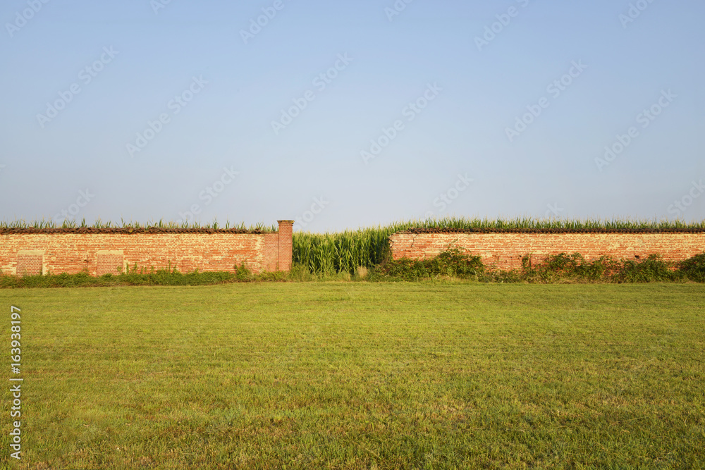 Paesaggio, muro rotto con dietro piante di mais.