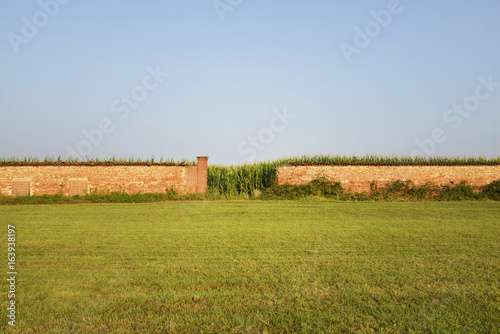 Paesaggio, muro rotto con dietro piante di mais.