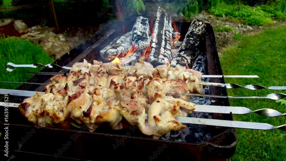 meat on skewers and firewood in brazier outdoors