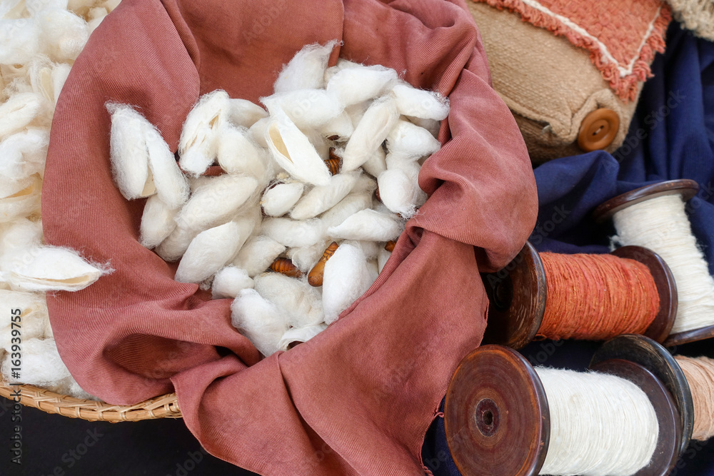 White silkworm in basket White silkworm in basket