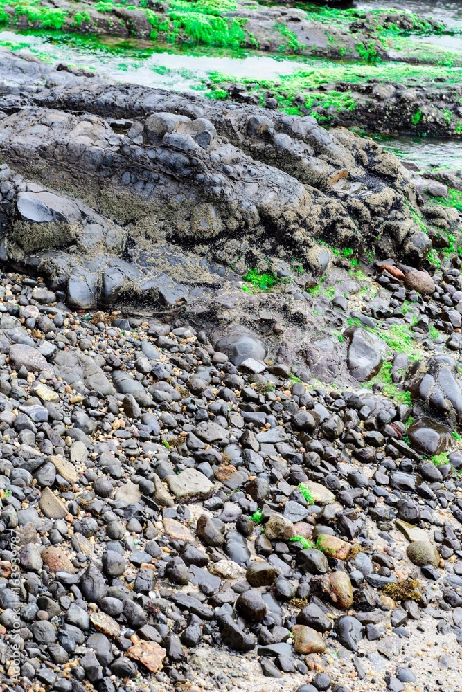 rocks in the beach rocks in the beach