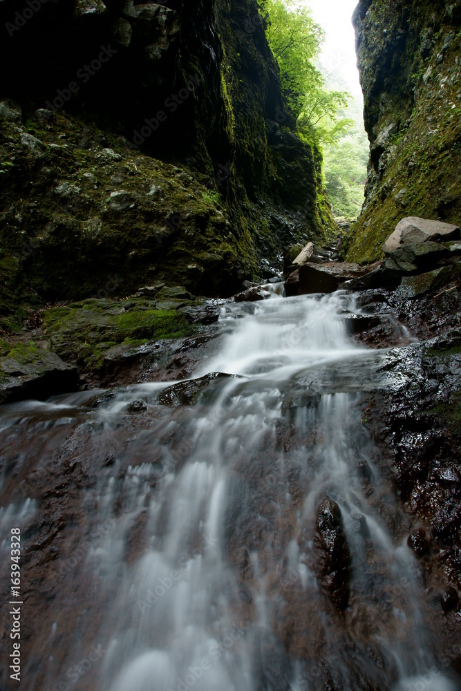 Naklejka premium SONY DSC