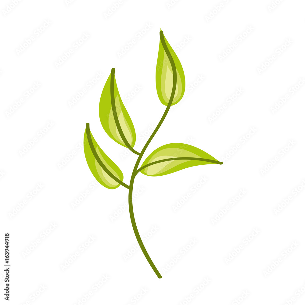 Obraz premium leaf plant decorative icon vector illustration design