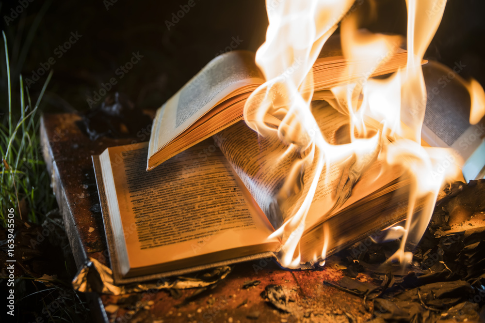 Obraz premium burning books