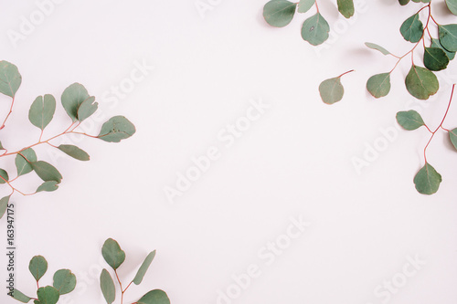 Beautiful eucalyptus branches frame on pale pastel pink background. Flat lay, top view. Lifestyle composition.