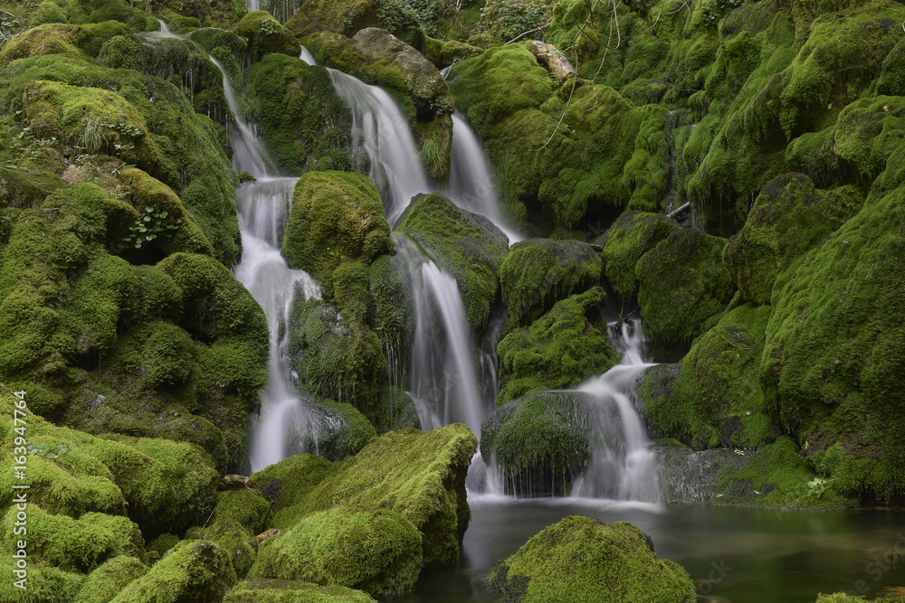 Fototapeta premium La Tobería - 76