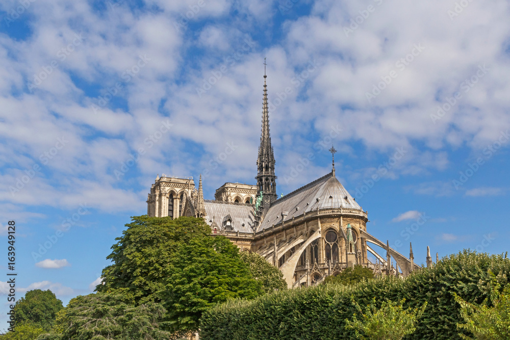 view on Notre-Dame de Paris cathedral in Paris at summer day