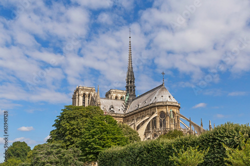 view on Notre-Dame de Paris cathedral in Paris at summer day