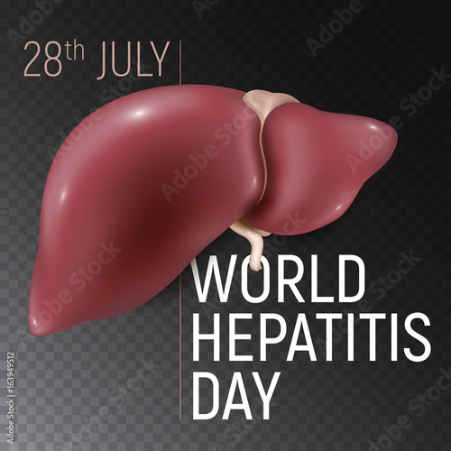 Postcard or banner to the world hepatitis day. Vector illustration of human liver isolated on transparent background