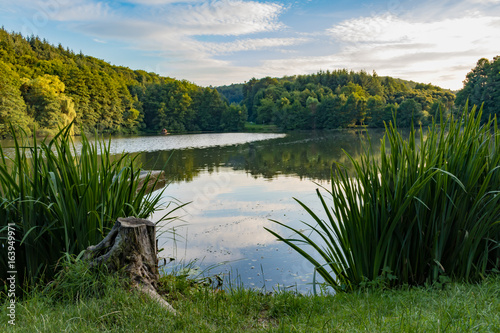Waldsee am Abend