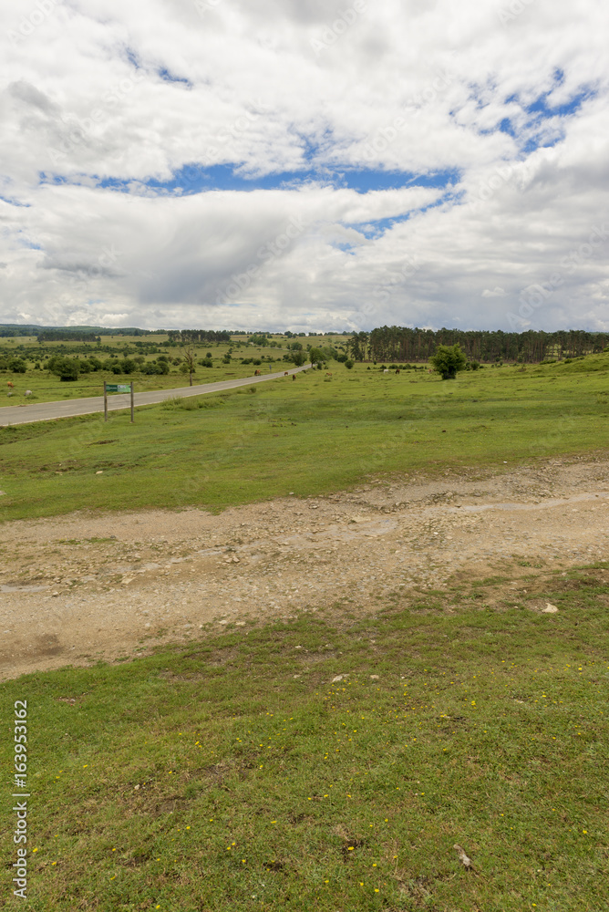 Naklejka premium Natural park of Urbasa and andia in Navarra