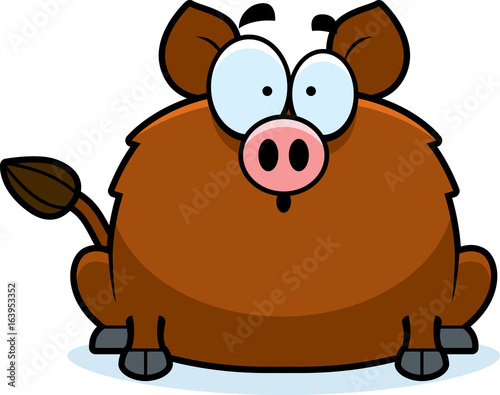 Surprised Little Boar