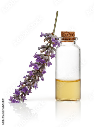 Fototapeta Naklejka Na Ścianę i Meble -  Lavender
