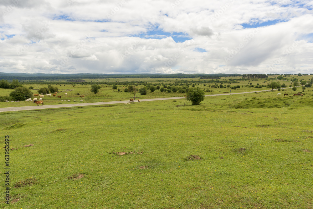 Natural park of Urbasa and andia in Navarra