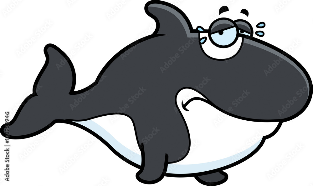 Obraz premium Crying Cartoon Killer Whale