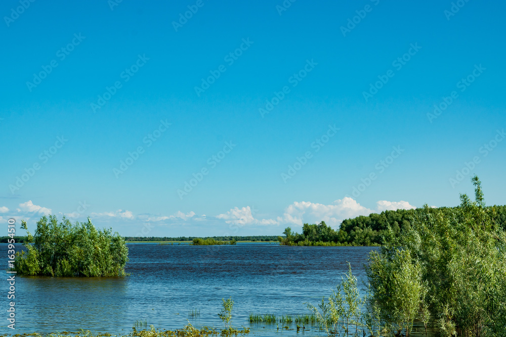 Obraz premium Summer landscape. A river flood. Water flooded green willow bushes.