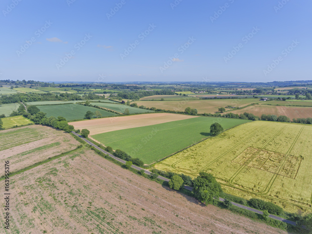 Aerial view of green wheat and ploughed farm fields, with a crossing country road, in an English countryside, on a sunny summer day .