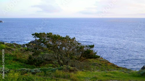 Beautiful Pacific coastline at Big Sur California photo
