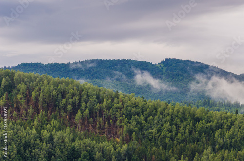 Ukrainian carpathian mountaine landscape with fog