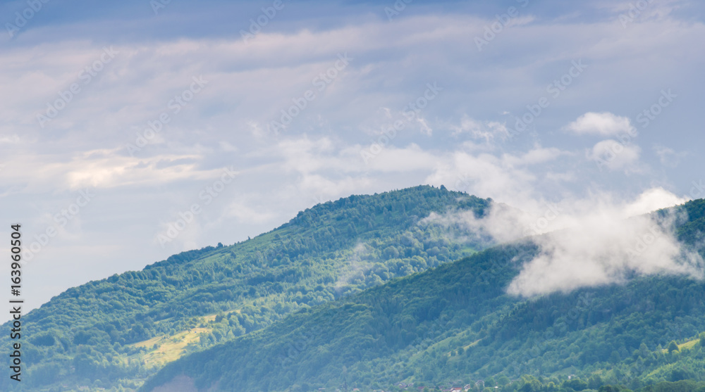 Fototapeta premium Ukrainian carpathian mountaine landscape with fog
