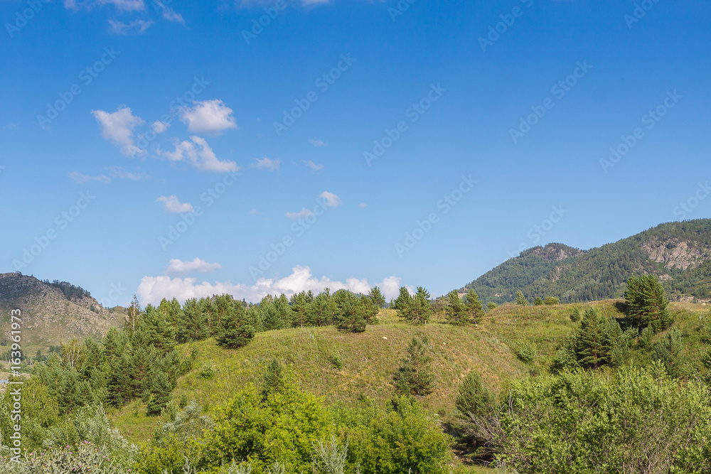 View of the mountains with forest in East Kazakhstan