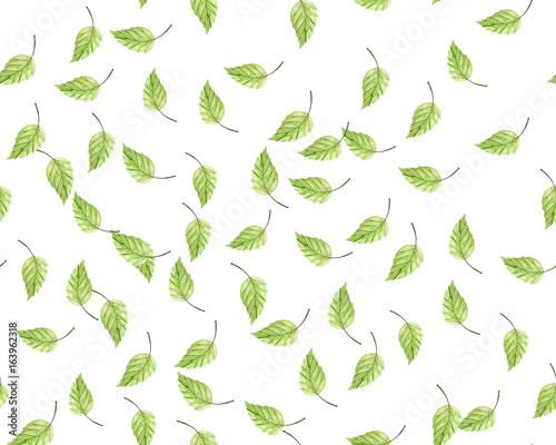 Green Leaves On White Background