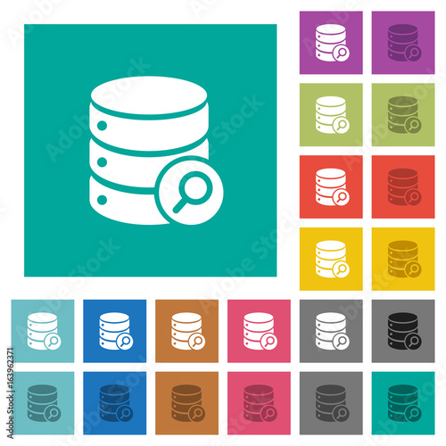 Database search square flat multi colored icons