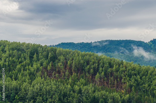 Ukrainian carpathian mountaine landscape with fog