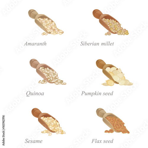 Six shovels with different cereals and oilseeds in them / There are shovels with amaranth, quinoa, sesame and other popular cereals
