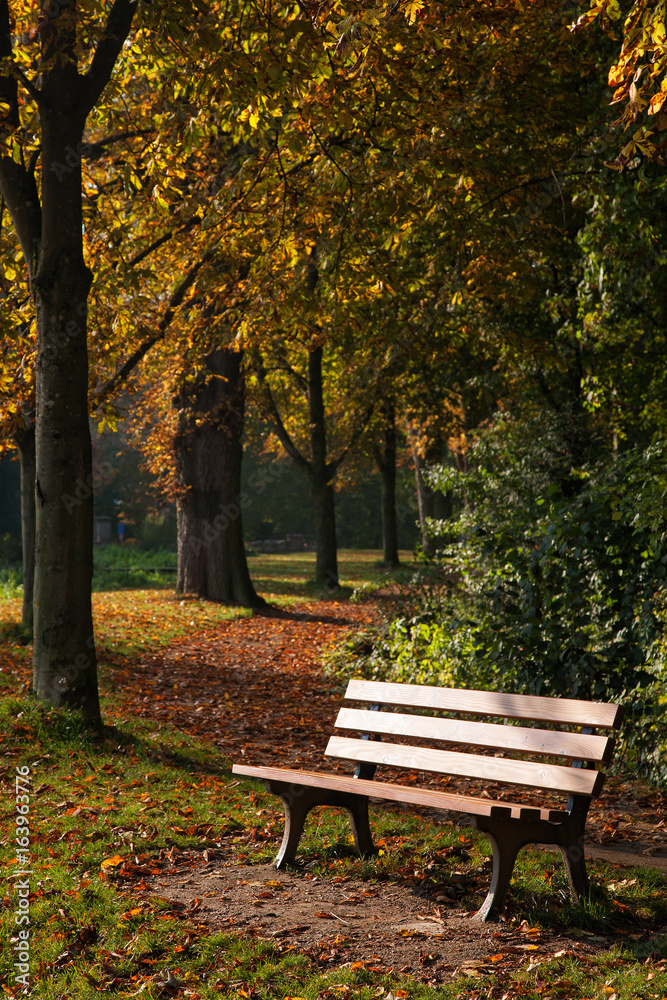 Parkbank und Bäume mit Herbstlaub