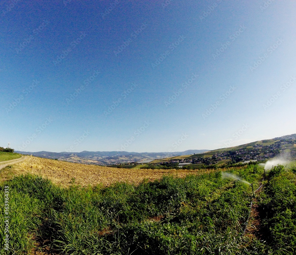 Fototapeta premium Vue des champs de la Cula