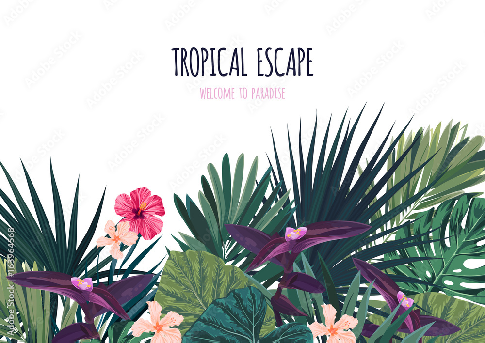 Fototapeta premium Floral horizontal postcard design with hibiscus flowers, monstera and royal palm leaves. Exotic hawaiian vector background.