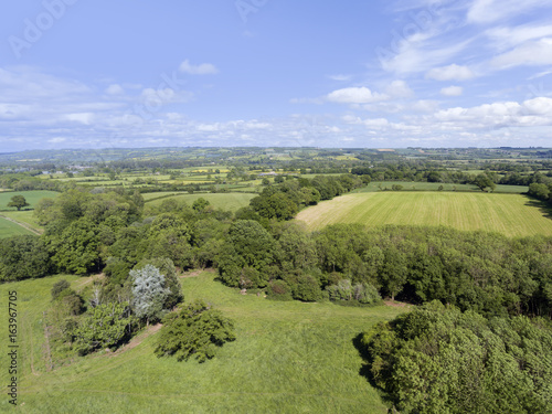 Aerial view of farming fields, green pastures, meadows on an edge of woodland, in an English rural countryside, Cotswolds, on a sunny summer day.