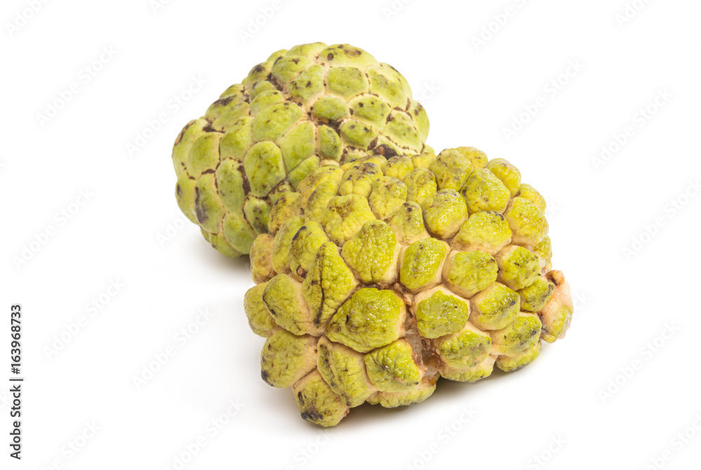 Fototapeta premium Noyna