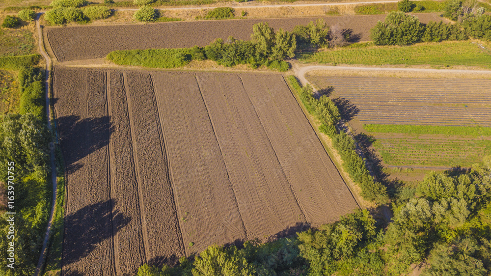 Vista aerea di ampi in coltivazione nella periferia di Roma durante il mese di luglio.